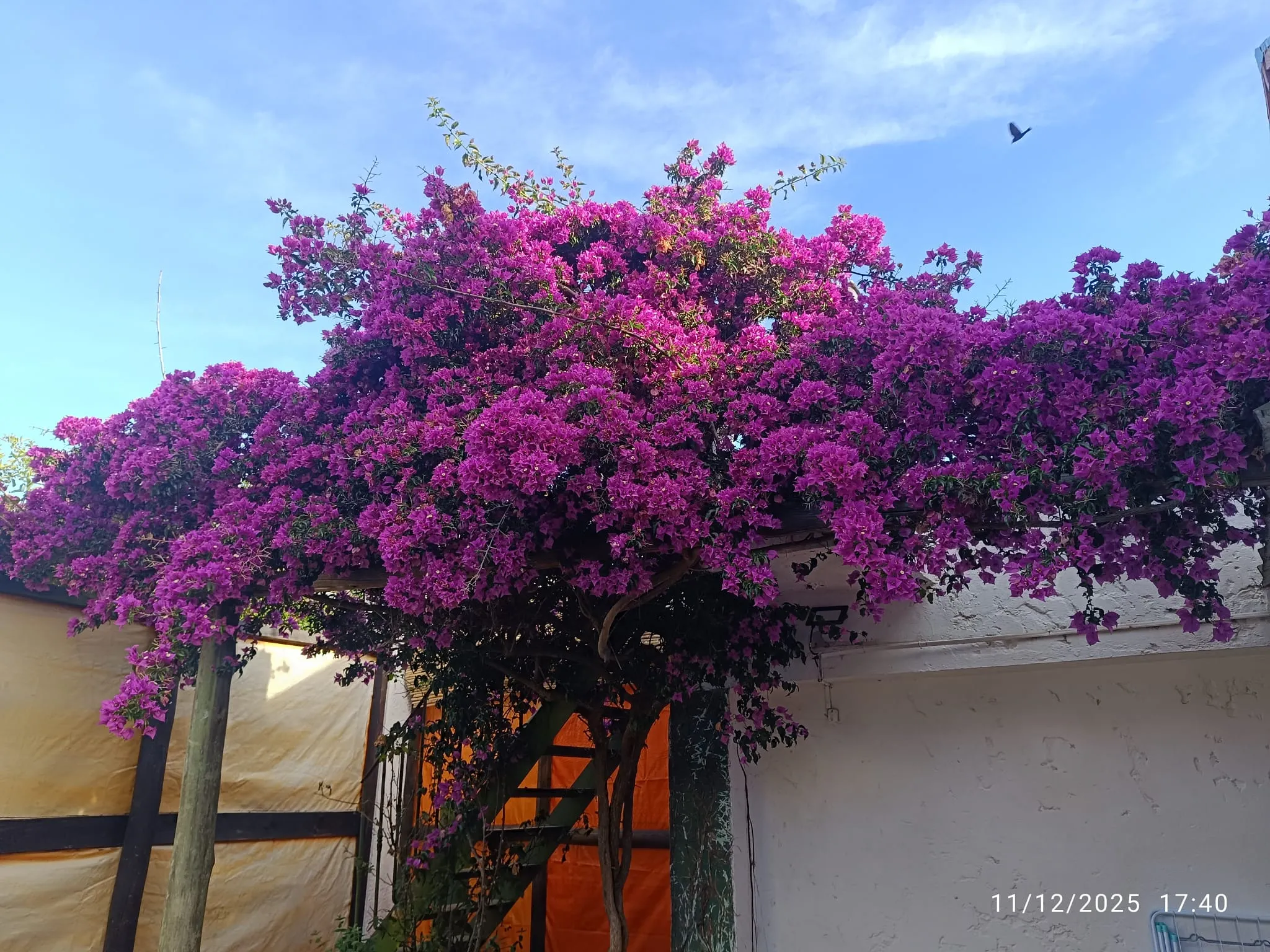 WhatsApp Image 2025-12-29 at 8.34.19 PM (2).webp